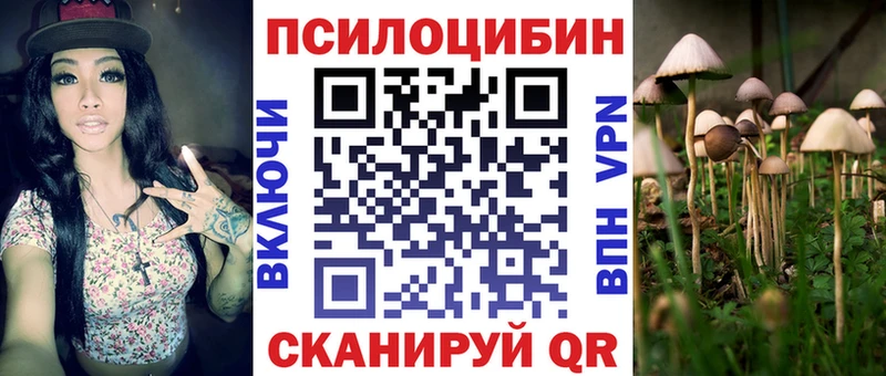 гидра сайт  Жиздра  Галлюциногенные грибы прущие грибы 