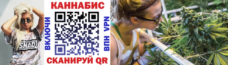 МАРИХУАНА планчик  купить наркотики сайты  Жиздра 